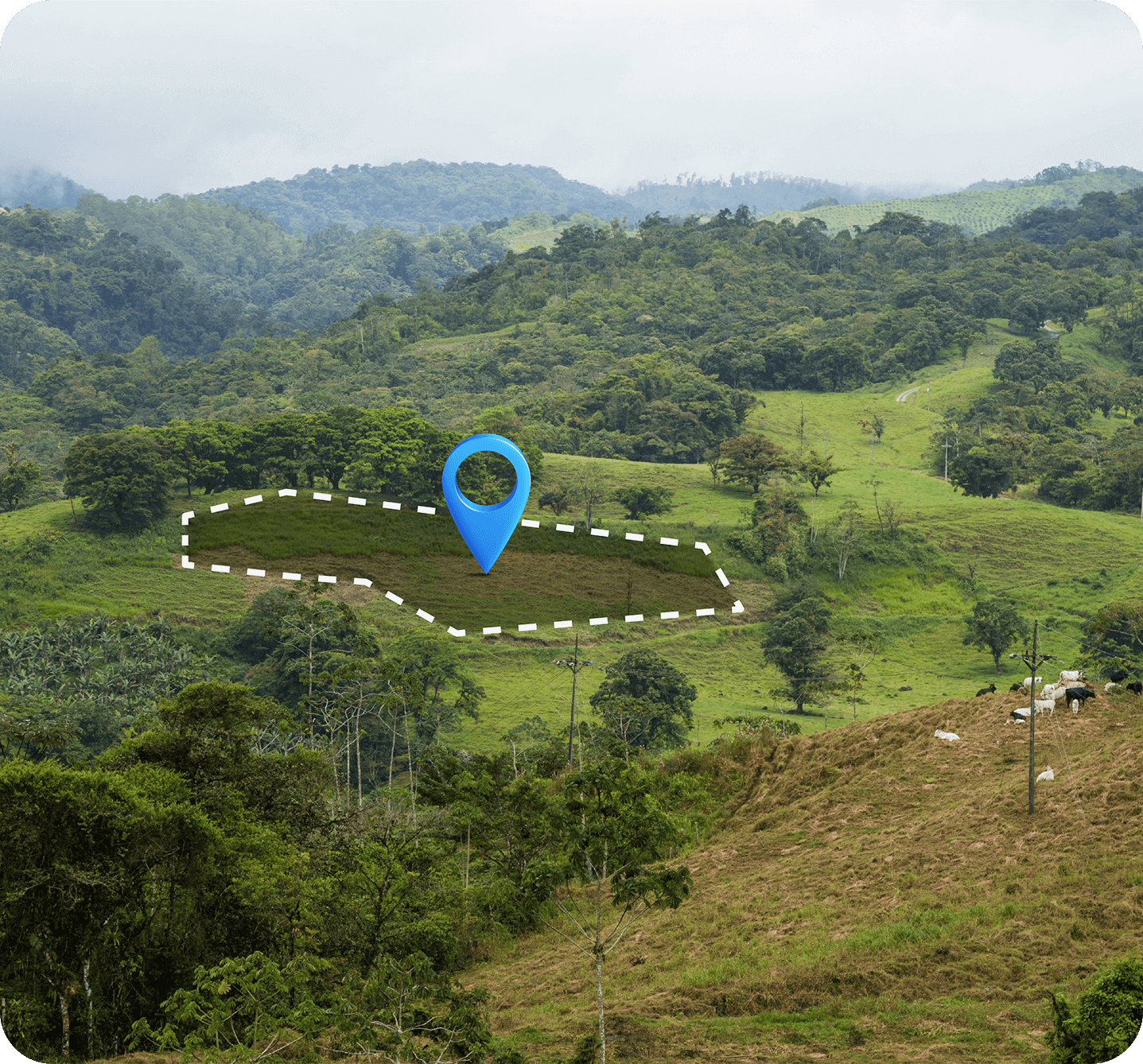 Aerial view of land parcels